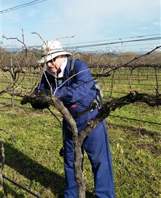 Kerralee Wines - New Castle Holiday 3