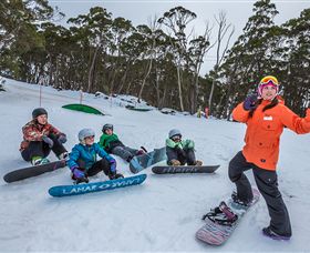 Mt Baw Baw Alpine Resort - New Castle Holiday 1