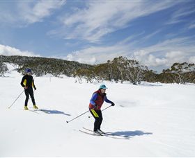 Mt Baw Baw Alpine Resort - New Castle Holiday 2
