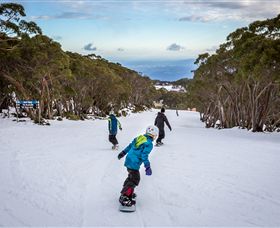 Mt Baw Baw Alpine Resort - New Castle Holiday 0