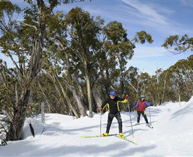 Mt Baw Baw Alpine Resort - New Castle Holiday 4