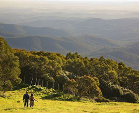 Mt Baw Baw Alpine Resort - New Castle Holiday 6