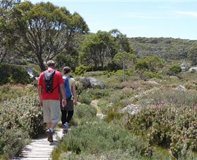 Mt Baw Baw Alpine Resort - New Castle Holiday 7
