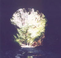 Glow Worm Tunnel - New Castle Holiday