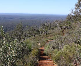 Mount Dale Walk Trail - New Castle Holiday 0