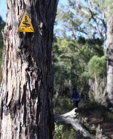 Mount Dale Walk Trail - New Castle Holiday 1