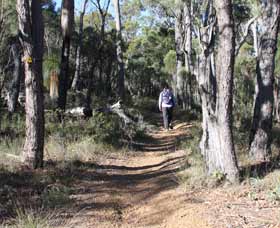 Mount Dale Walk Trail - New Castle Holiday 2