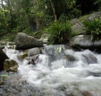 Washpool National Park - New Castle Holiday