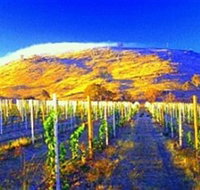 Surveyors Hill Winery - New Castle Holiday