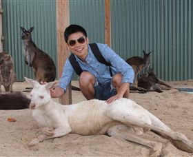 Maru Koala And Animal Park - New Castle Holiday 2