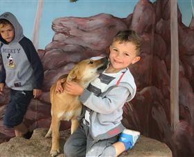 Maru Koala And Animal Park - New Castle Holiday 3