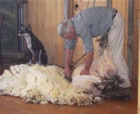 Maru Koala And Animal Park - New Castle Holiday 8