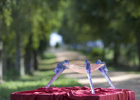 Lillico VIC New Castle Holiday