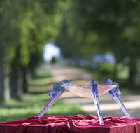 Lillico Glass Studio - New Castle Holiday