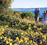 Joseph Banks Conservation Park - New Castle Holiday