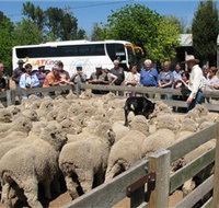 Gold Creek Station - New Castle Holiday