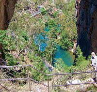Carlotta Arch walking track - New Castle Holiday