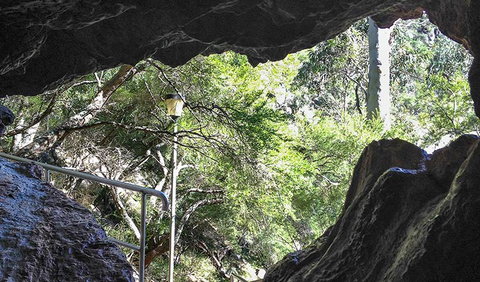 Carlotta Arch Walking Track - New Castle Holiday 1