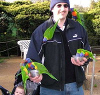 Canberra Walk In Aviary - New Castle Holiday