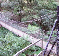 Jenolan River walking track - New Castle Holiday