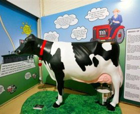 Hunter Belle Cheese - New Castle Holiday 3