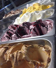 Hunter Belle Cheese - New Castle Holiday 4