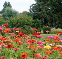 Alma Park - New Castle Holiday