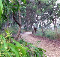 Mount Mutton Walking Trail - New Castle Holiday