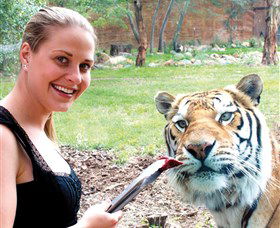 National Zoo & Aquarium - New Castle Holiday 1