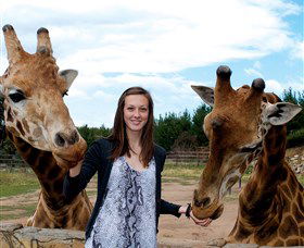 National Zoo & Aquarium - New Castle Holiday 2