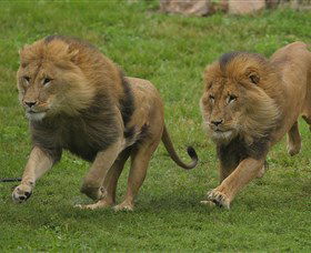 National Zoo & Aquarium - New Castle Holiday 4