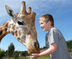 National Zoo & Aquarium - New Castle Holiday 3
