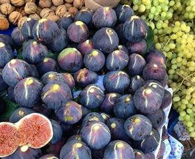 Mia Cucina Walking Food Tours - New Castle Holiday 2