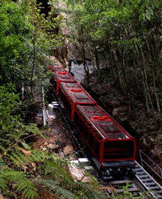 Andersons Tours - New Castle Holiday 1