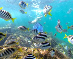 EcoTreasures - New Castle Holiday 0