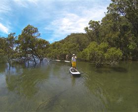 EcoTreasures - New Castle Holiday 1