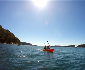 EcoTreasures - New Castle Holiday 4