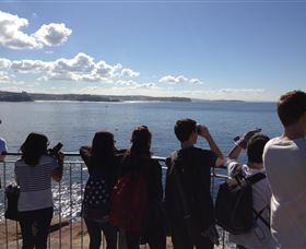 EcoTreasures - New Castle Holiday 3