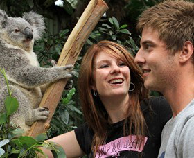 Colourful Trips - New Castle Holiday 3