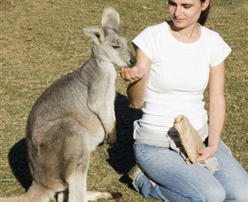 Colourful Trips - New Castle Holiday 4