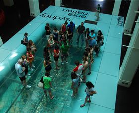 I'm Free Tours - New Castle Holiday 1