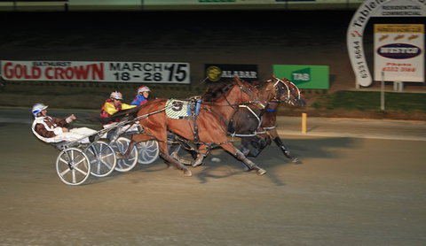 Bathurst Harness Racing Club - New Castle Holiday 3