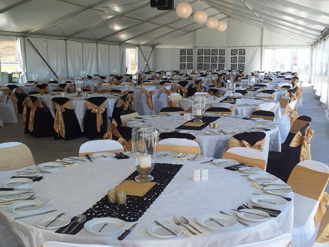 Bathurst Harness Racing Club - New Castle Holiday 5