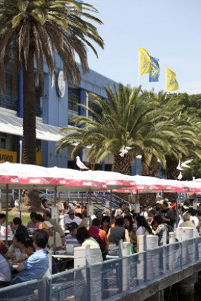 Sydneys Fish Market - New Castle Holiday 1