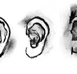 DAB LAB Research Gallery - New Castle Holiday