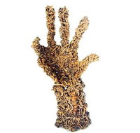 Coo-ee Aboriginal Art Gallery - New Castle Holiday