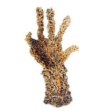 Coo-ee Aboriginal Art Gallery - New Castle Holiday 0