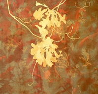 Fellia Melas Gallery - New Castle Holiday