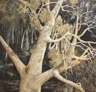Ku-Ring-Gai Art Centre  Gallery - New Castle Holiday