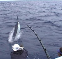 Amokura Charters - New Castle Holiday